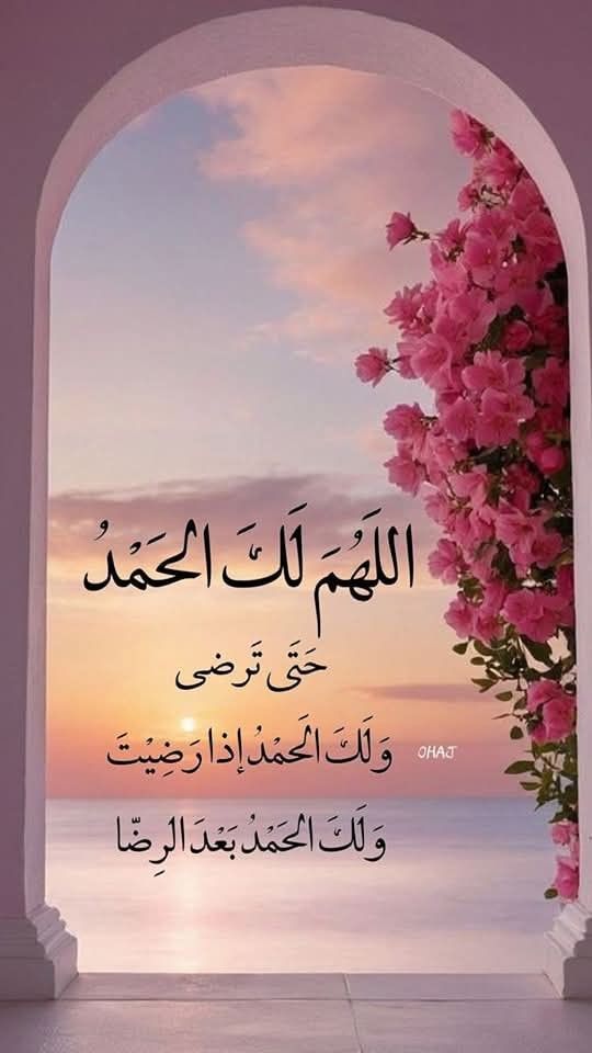 حلقة فقه